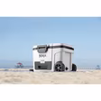 Ninja FB245UKWH Ninja FrostVault 45QT/42L Wheeled Cooler with Dry Zone - Cloud White