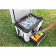 Ninja FB245UKWH Ninja FrostVault 45QT/42L Wheeled Cooler with Dry Zone - Cloud White