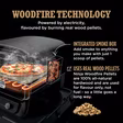 Ninja OO101UK Ninja Woodfire Outdoor Oven- Artisan Pizza Maker and BBQ Smoker - Terracotta/Steel