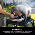 Ninja OO101UK Ninja Woodfire Outdoor Oven- Artisan Pizza Maker and BBQ Smoker - Terracotta/Steel